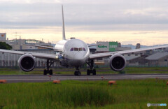 癒しの時間✈787Dreamliner