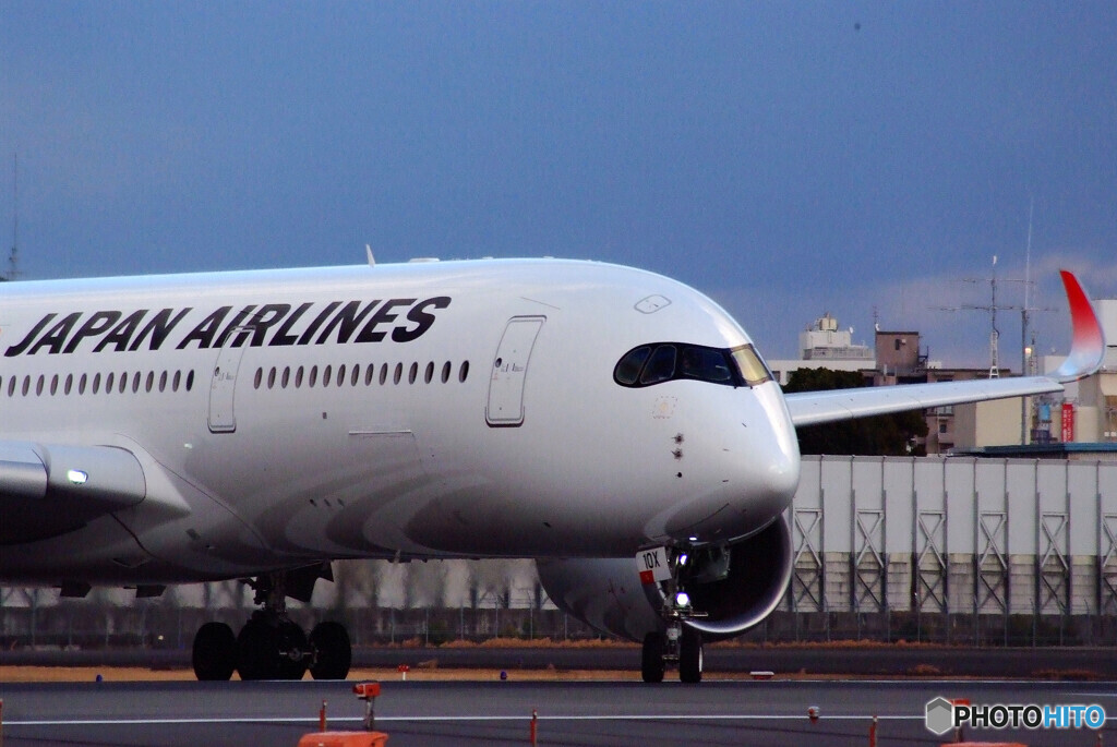それぞれの旅路へⅢ✈A350-900