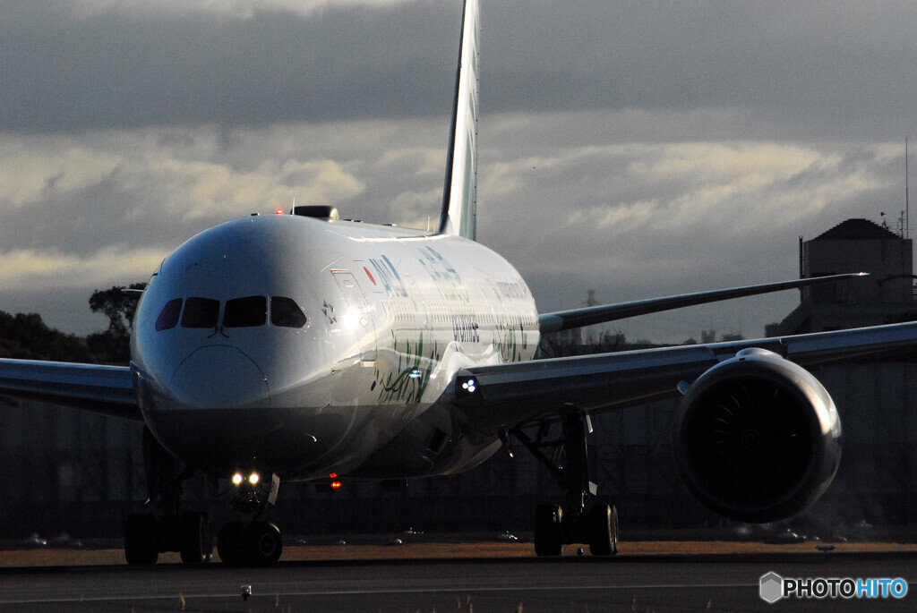 Light＆Shadow✈JA874A