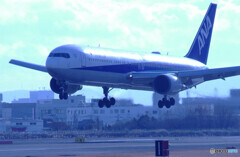 蒼の時代へ✈Boeing 767