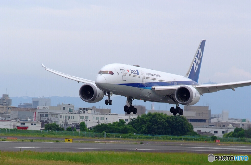 Reborn✈伊丹の空から