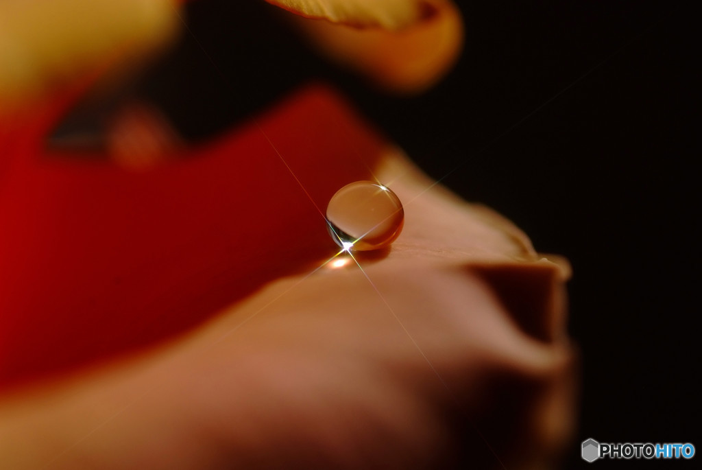 輝きを忘れずに・雫