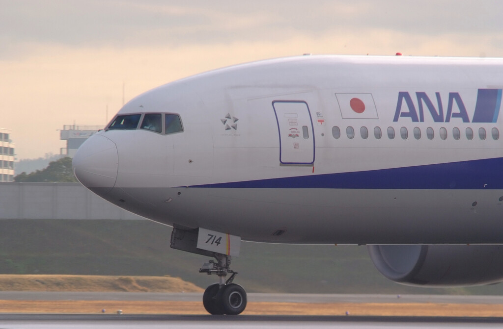 Morning ProfileⅢ✈JA714A