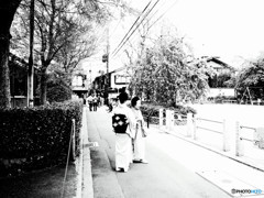 先斗町マダム・雅