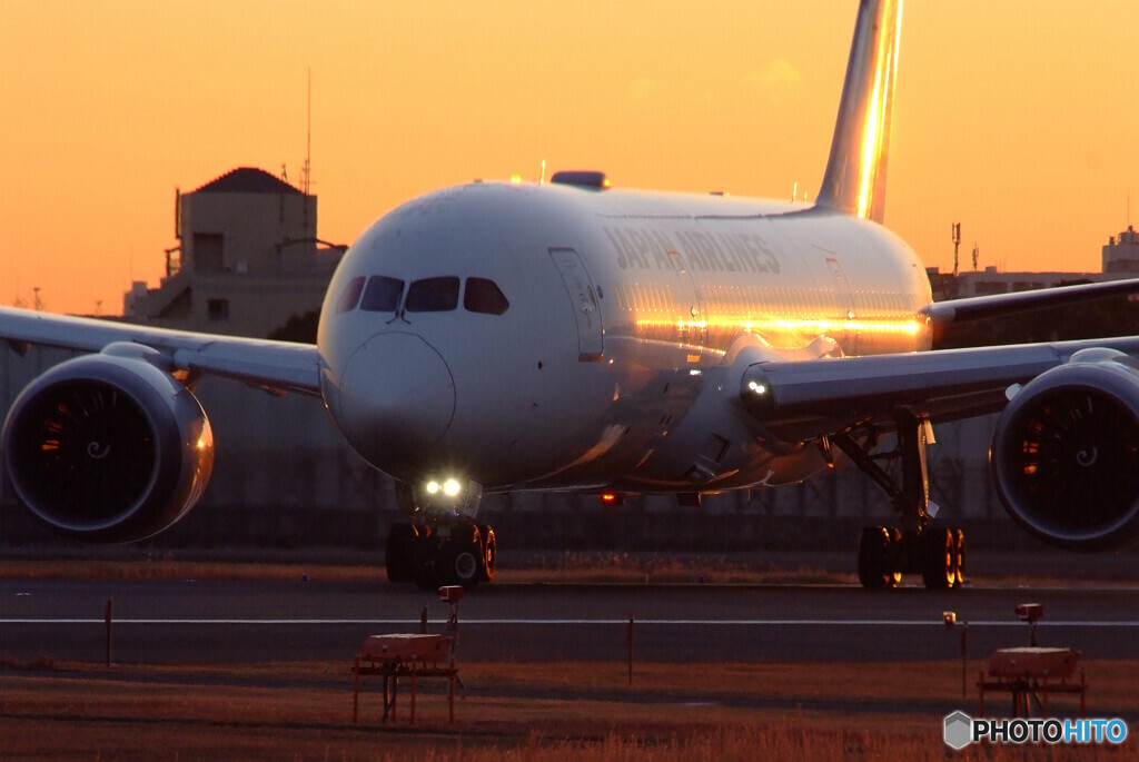 Natural Light✈ときめき