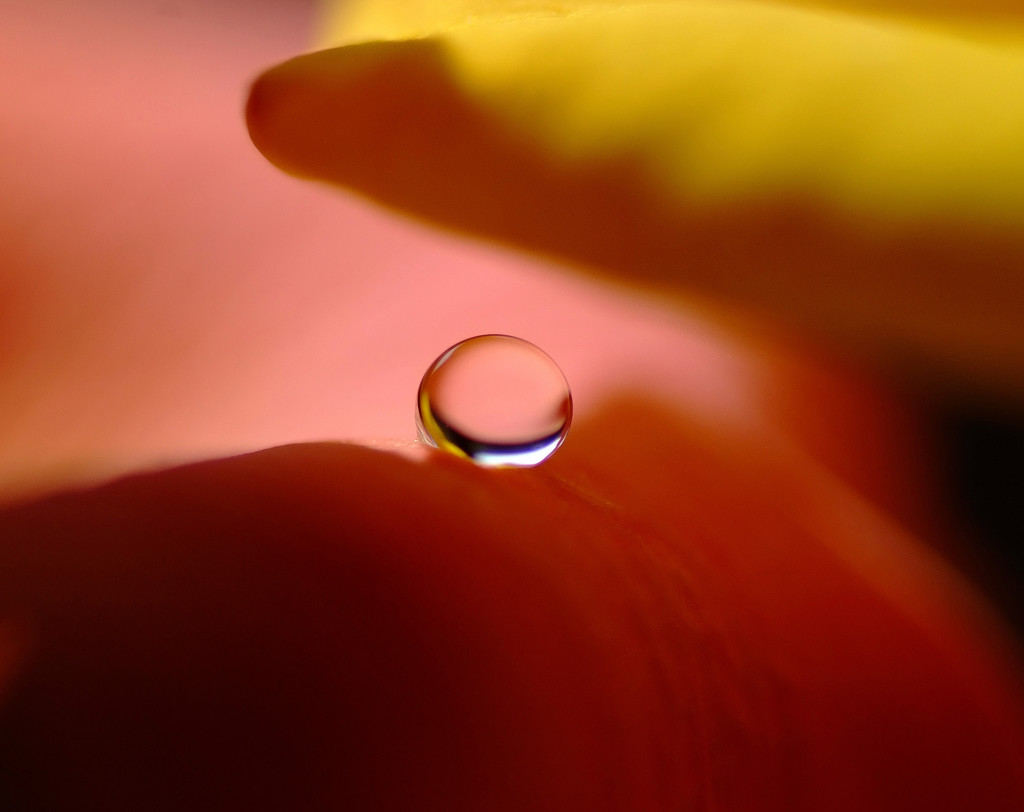 君は天然色Ⅱ・雫