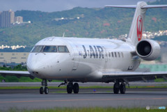 輝く君へ（Ⅴ）・夏