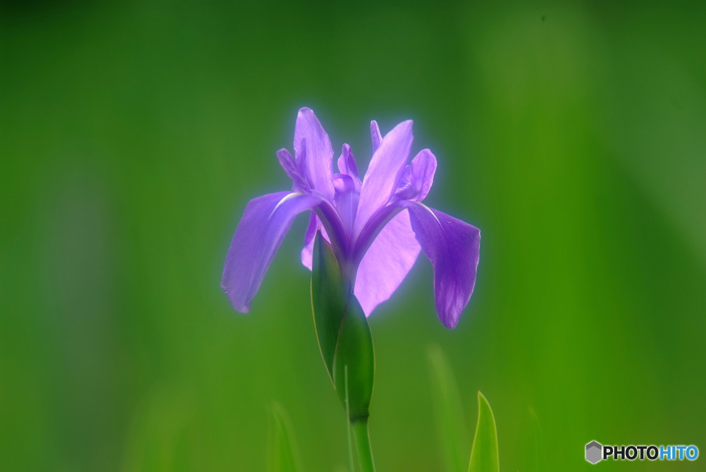 令和の時代へ・祈り