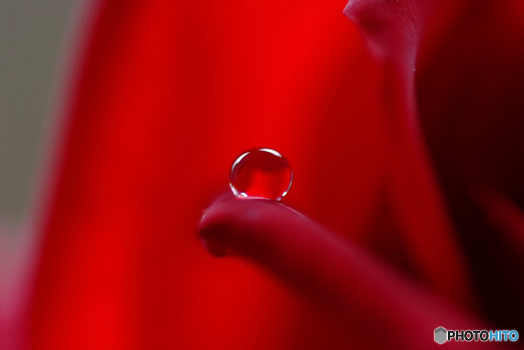 沈まぬ太陽・雫