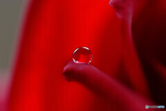 沈まぬ太陽・雫