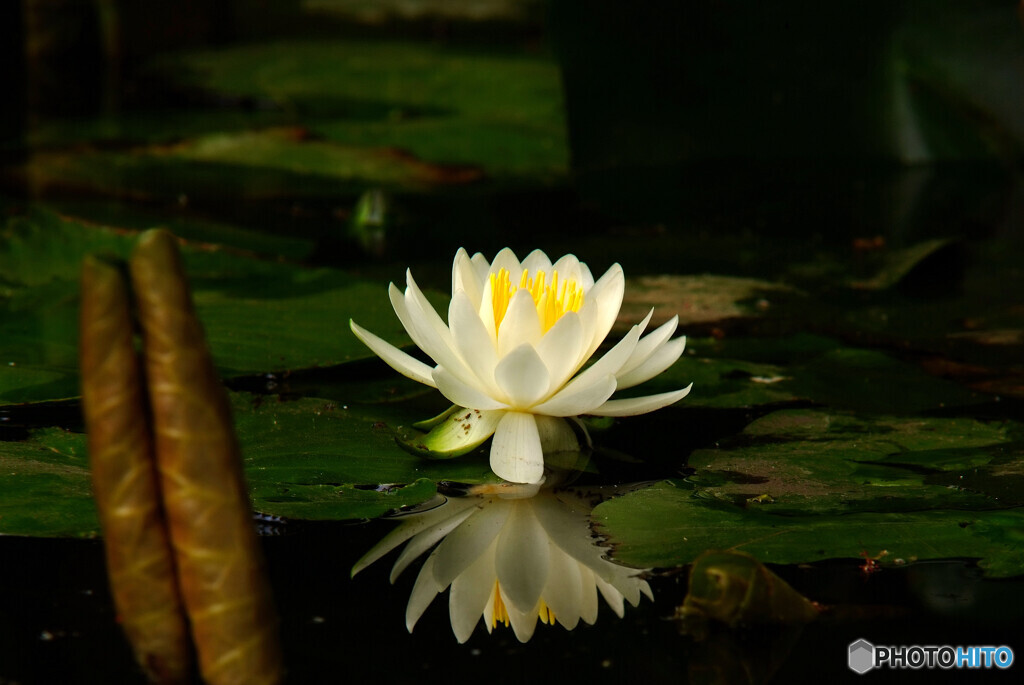 花の時・愛の時
