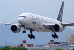 Heisei Flight・STAR