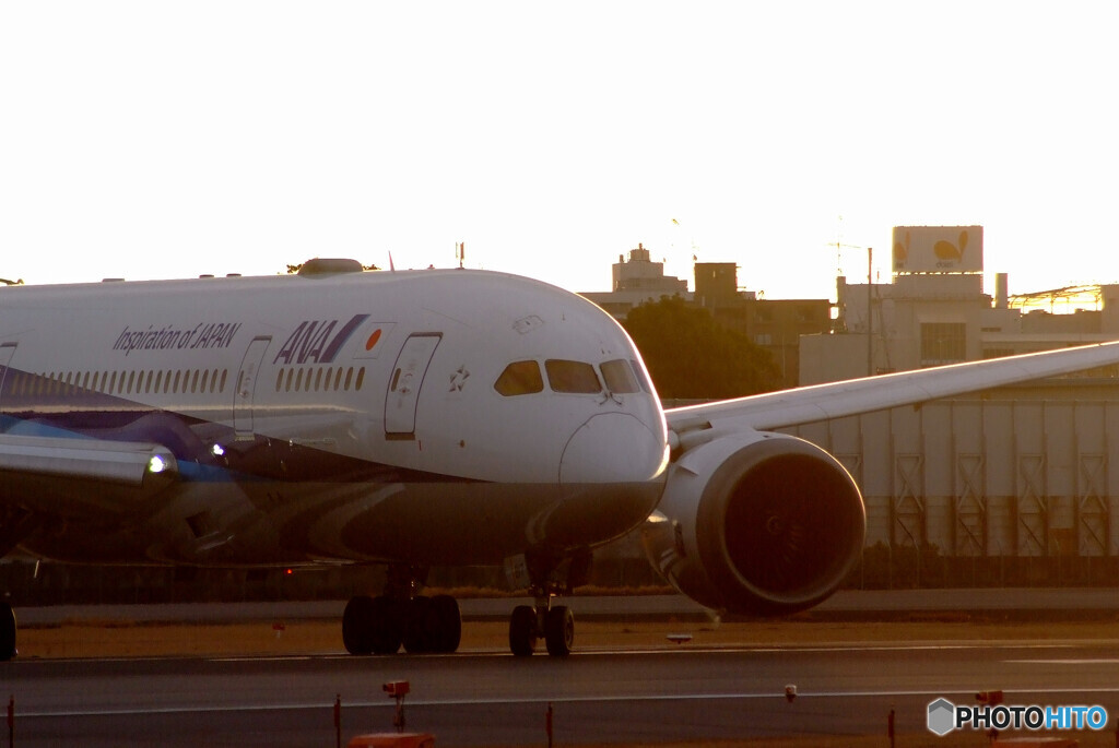 いい日旅立ち✈Boeing787-8