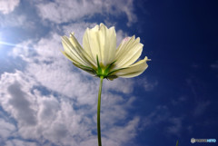 MY STORY・出会いと別れ