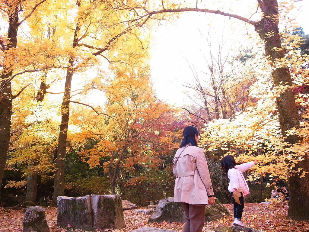 紅葉が好き✿万博2025