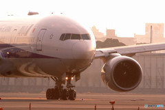 春色に誘われてⅤ・777