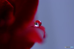 色どり月の時・雫