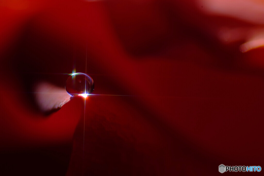 迷宮の十字路✾雫