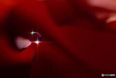 迷宮の十字路✾雫