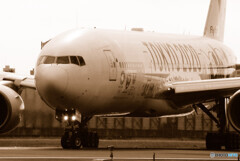 夏の日の2019・HARADA