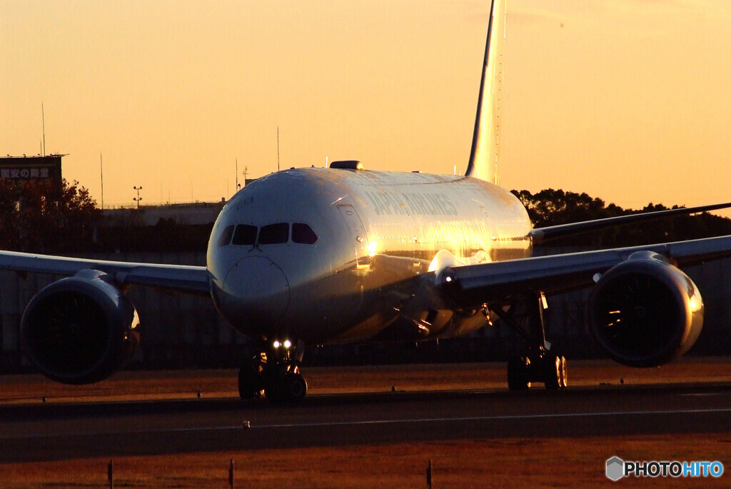 旅立ちの朝✈Boeing787-8