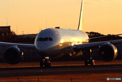 旅立ちの朝✈Boeing787-8