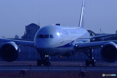 12月の旅路Ⅴ✈787-8 Dreamliner 