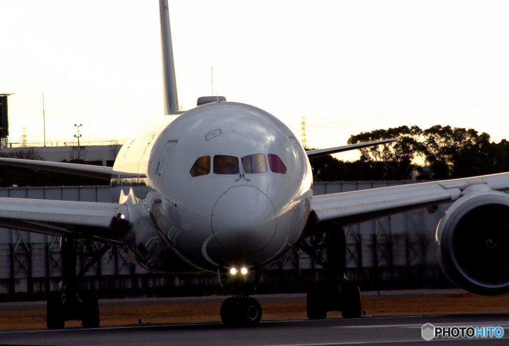 SKYLANDの朝Ⅶ✈JAL787-8