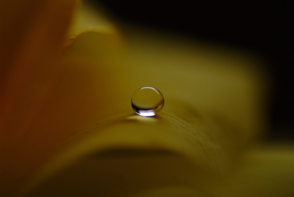 幸福の黄色い雫・（Ⅹ）