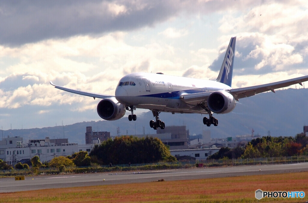 いい日出会い✈787Dreamliner