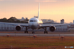 静寂の朝✈Boeing 767