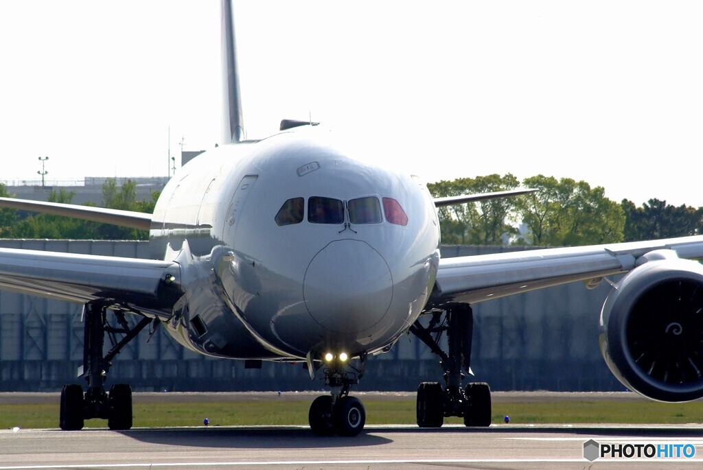 HARADAの朝✈787 Dreamliner