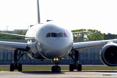 HARADAの朝✈787 Dreamliner