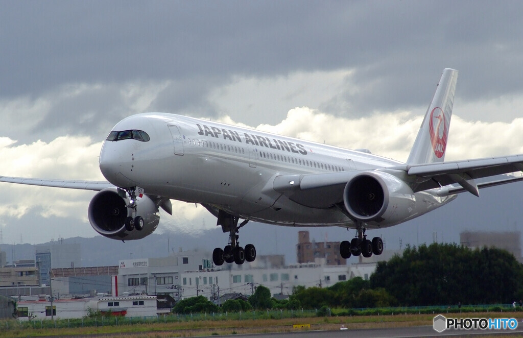 Traveler of Itami✈2022秋