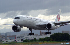 Traveler of Itami✈2022秋