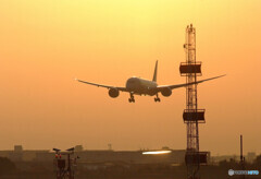 December MorningⅨ✈飛翔787