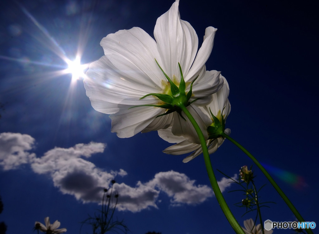 Eternal light・秋