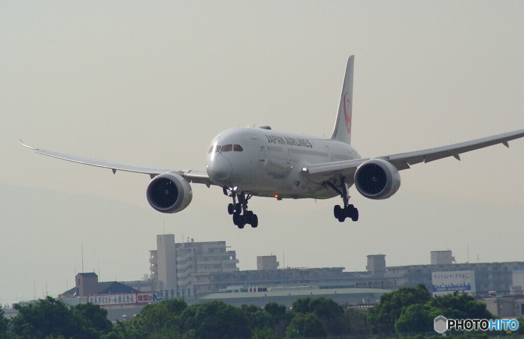 俺の旅路Ⅴ✈787-8 Dreamliner