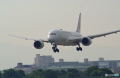 俺の旅路Ⅴ✈787-8 Dreamliner