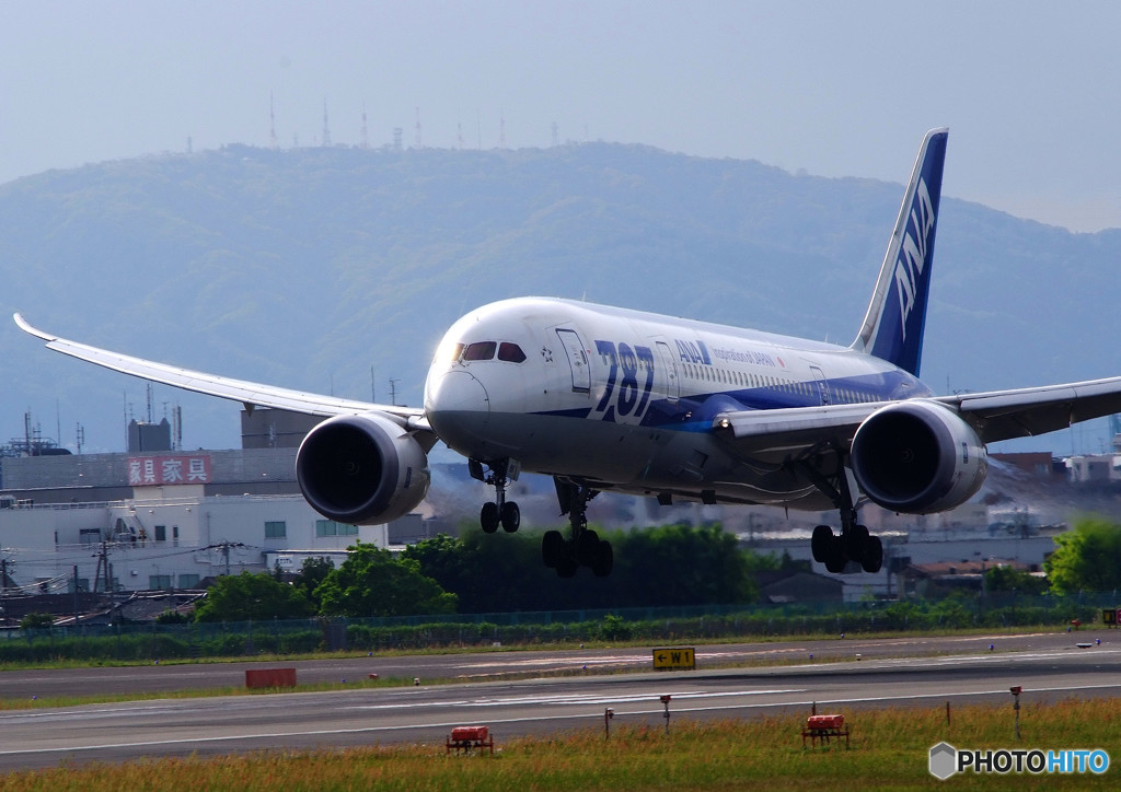 朝日をあびて・787