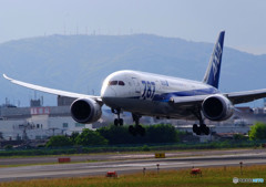 朝日をあびて・787