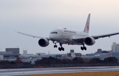 ITMの翼★Boeing787-8