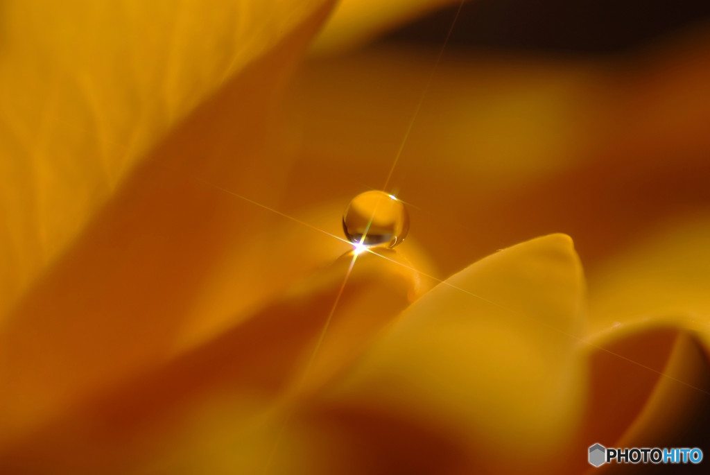 For you・聖なる夜に