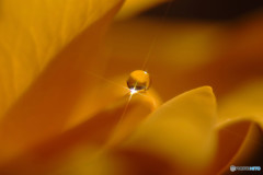 For you・聖なる夜に