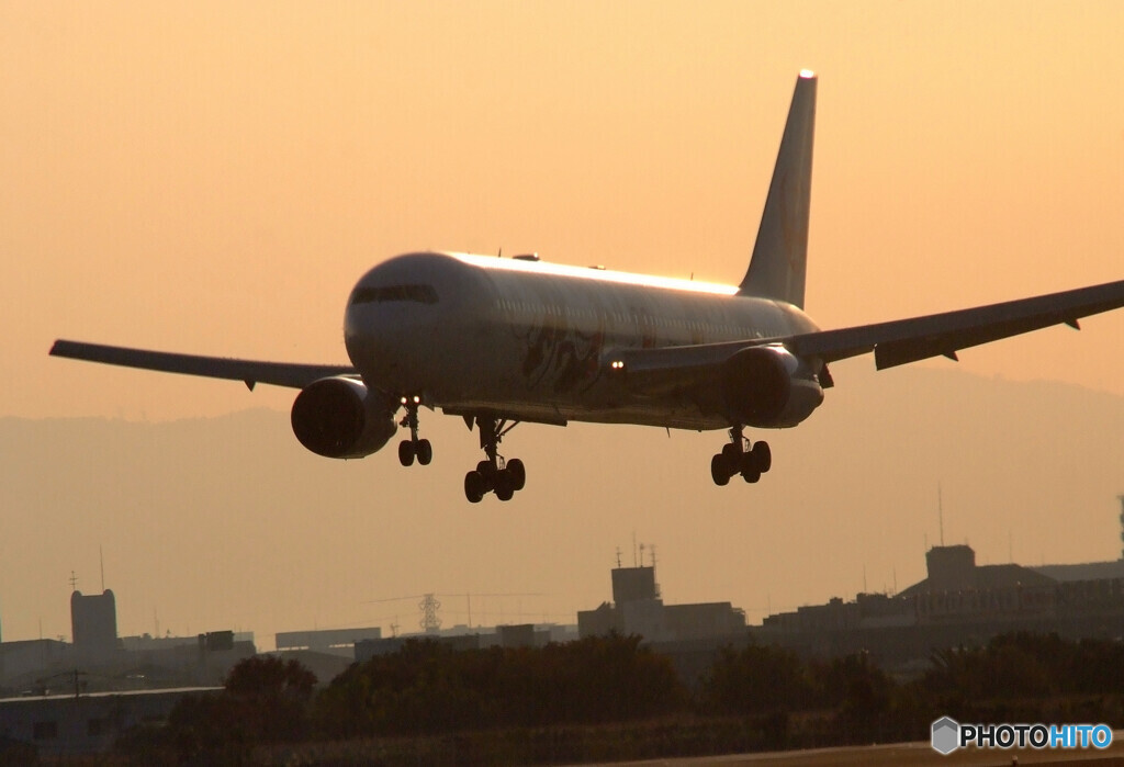 Morning Glow✈MICKEY