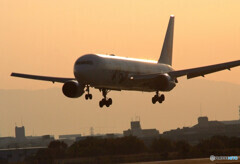 Morning Glow✈MICKEY