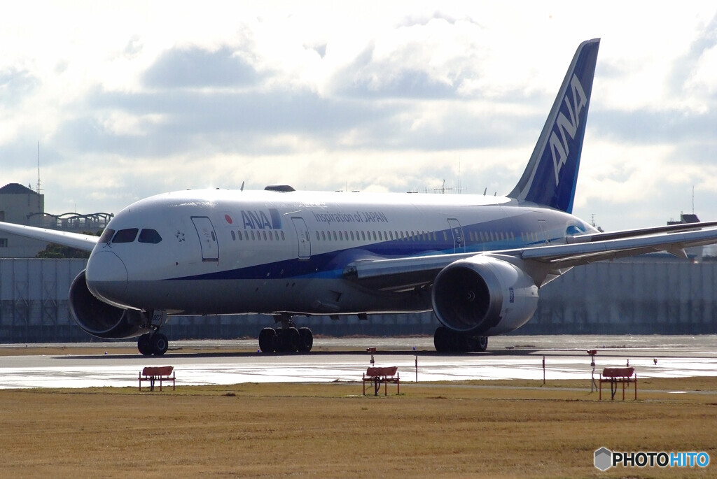 弥生の旅路✈Boeing 787-8