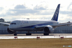 弥生の旅路✈Boeing 787-8