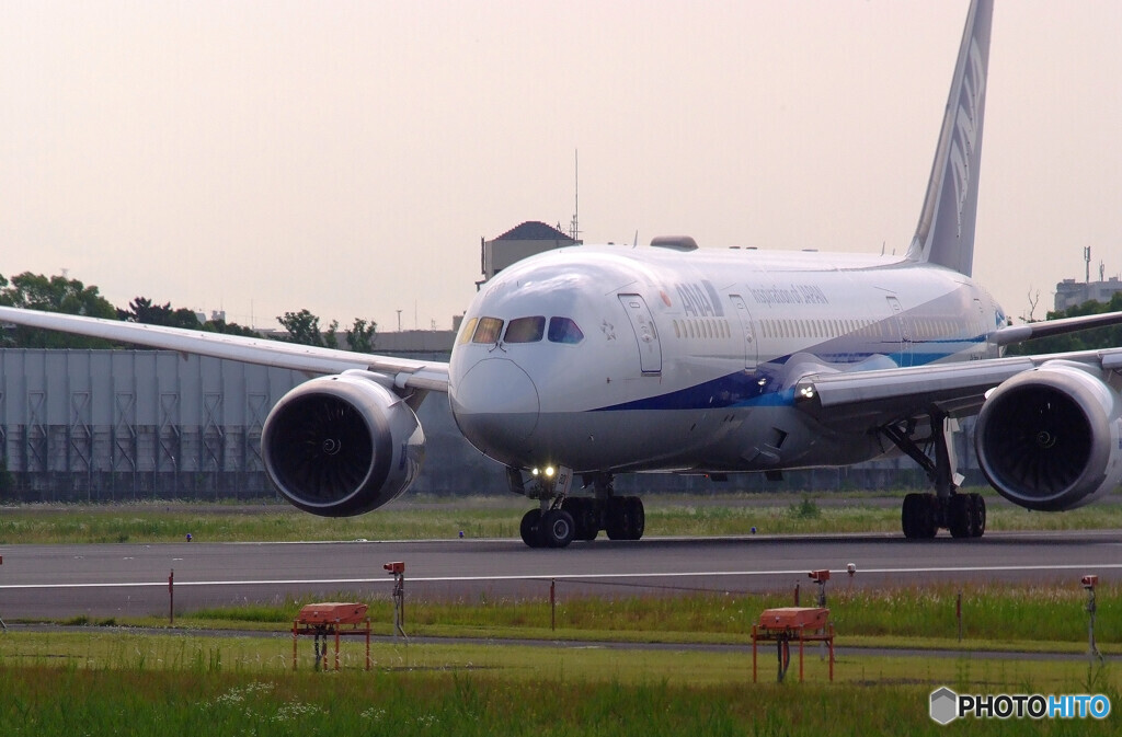 終わりなき旅へ✈787-8 Dreamliner 