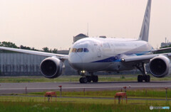 終わりなき旅へ✈787-8 Dreamliner 